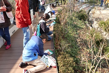 「豊島の森」で冬芽、ロゼットを観察する参加者の様子