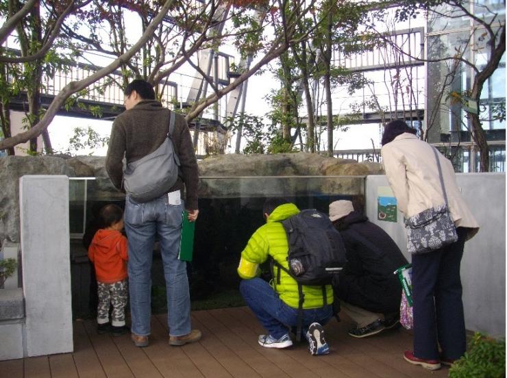 「豊島の森」の水槽を観察する参加者の様子