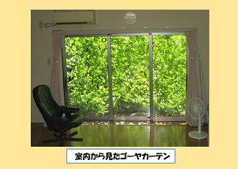 緑のカーテン写真 室内から見たゴーヤカーテン