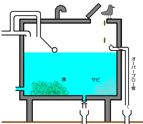 床置式貯水槽イメージ図