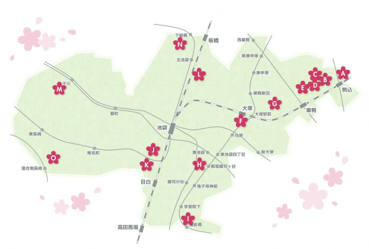 豊島区が発祥の美しい桜　ソメイヨシノのふるさと-3