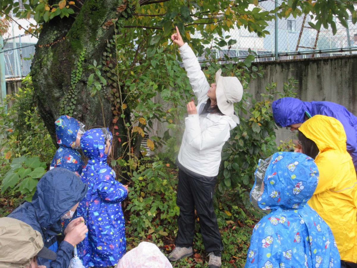 いのちの森の観察の様子