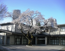 minamiikebukurosaijyougaikann