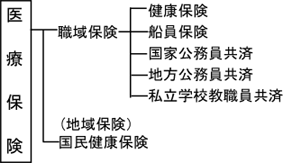 医療保険は、国民健康保険（地域保険）と、職域保健（健康保険・船員保険・国家公務員共済・地方公務員共済・私立学校教員共済）があります。