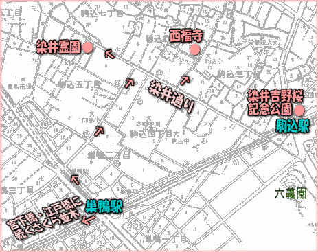 染井周辺の桜マップ