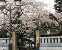 大国神社