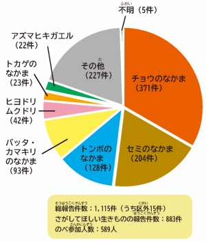 参加人数・円グラフ