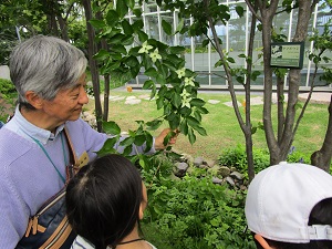 講師が参加者に「豊島の森」の樹木について説明している様子