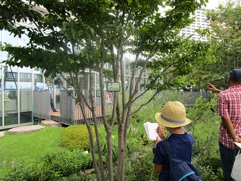 「豊島の森」の様子を観察ノートに記録している参加者
