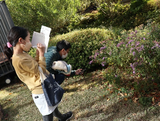 「豊島の森」で観察記録をつける参加者の様子
