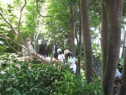 「豊島の森」を観察する参加者の様子