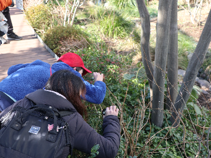 「豊島の森」で冬芽を観察する参加者の様子