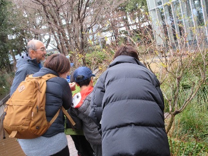 「豊島の森」を観察する参加者