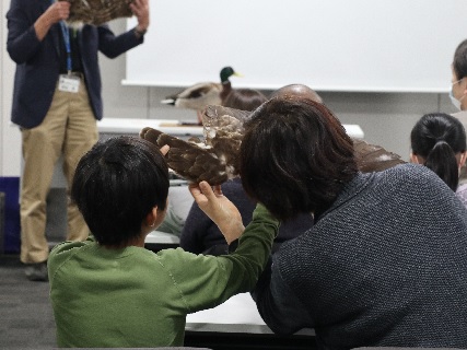 野鳥の羽を観察する参加者