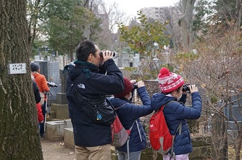 雑司ケ谷霊園で野鳥を観察する参加者の様子