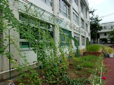 さくら小学校