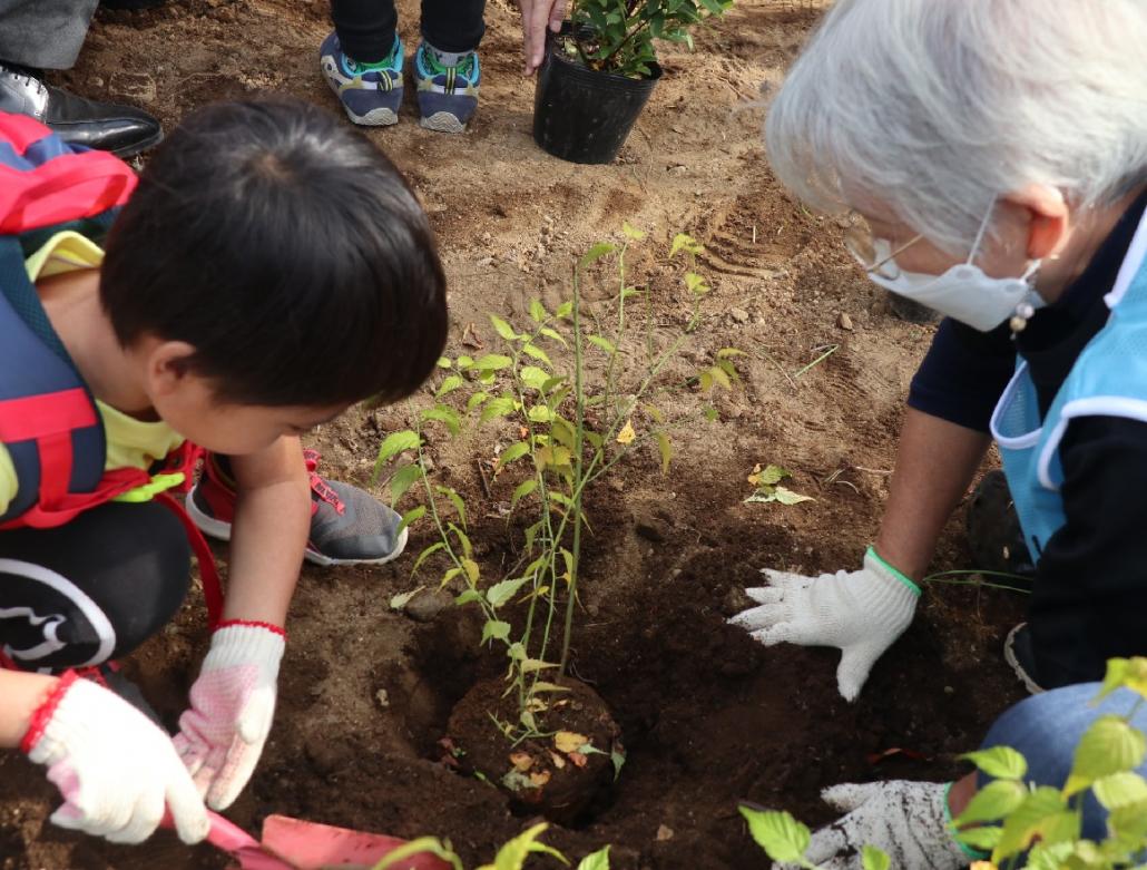 R4大明植樹写真3