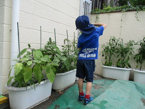 子どもが水やりする写真です。