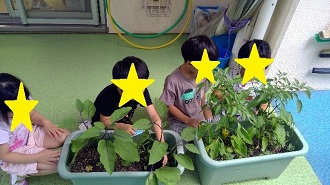子どもたちが収穫している写真