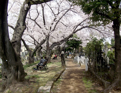 染井霊園