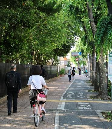 劇場通り（池袋小学校）