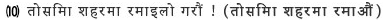 (10)तोसिमा शहरमा रमाइलो गरौं !（तोसिमा शहरमा रमाऔं）