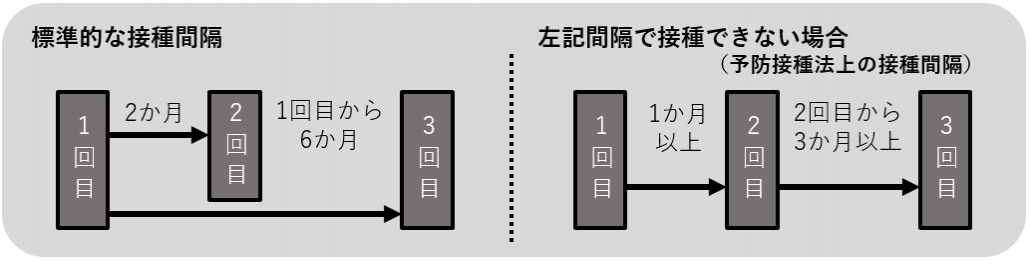 男性接種間隔最新