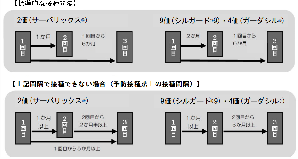 女性接種間隔最新