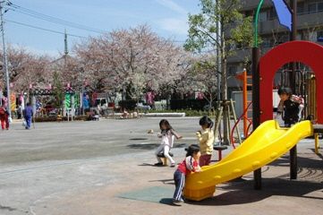 豊島区が発祥の美しい桜　ソメイヨシノのふるさと-7