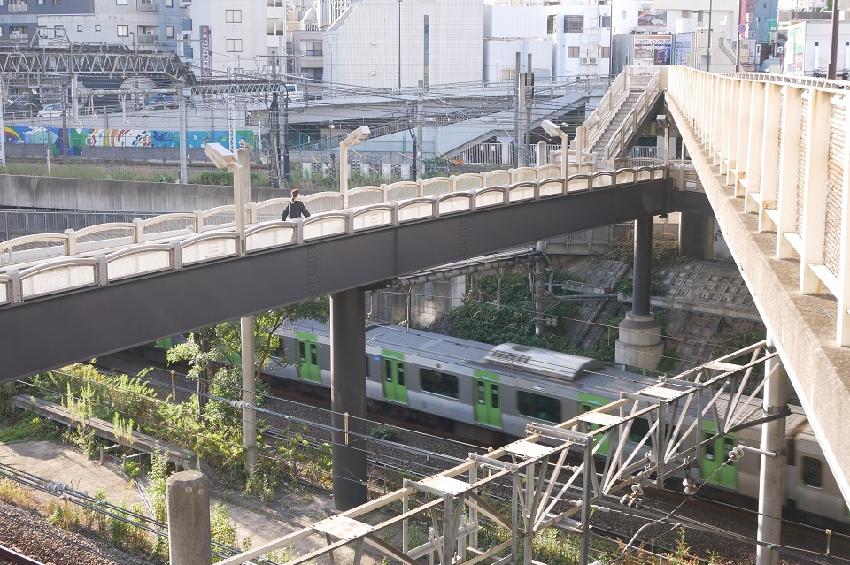 大橋の下を通る山手線