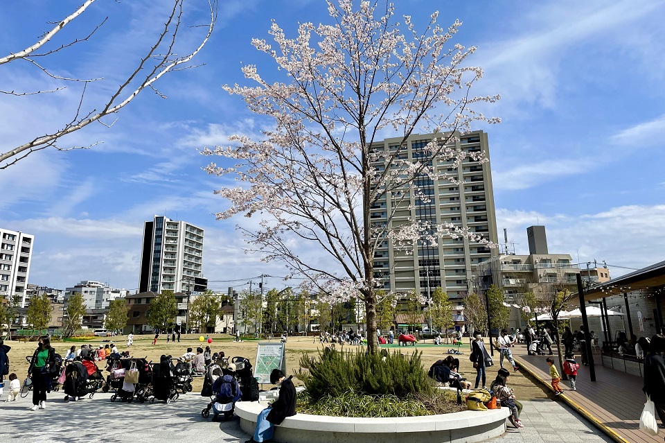 樹木ガイドツアー15