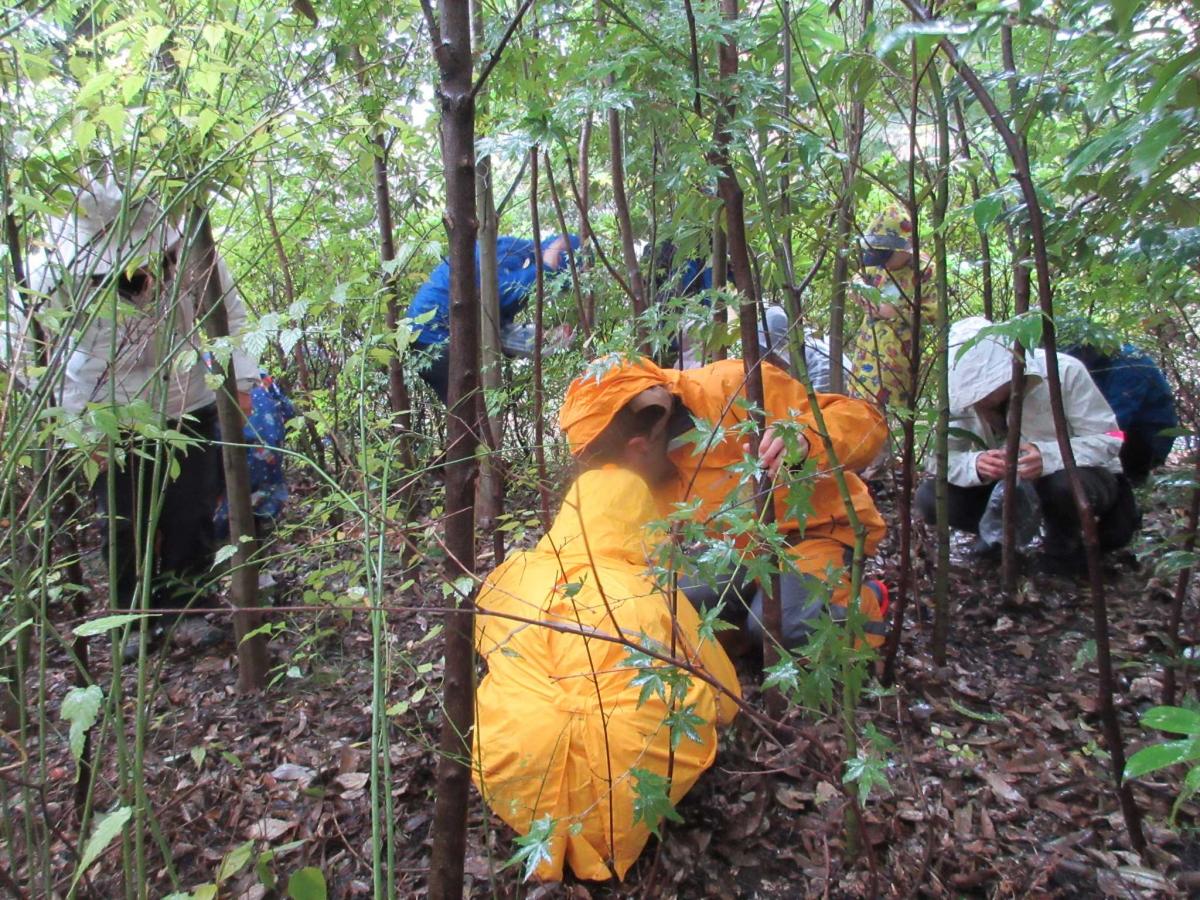 いのちの森に入って観察している様子