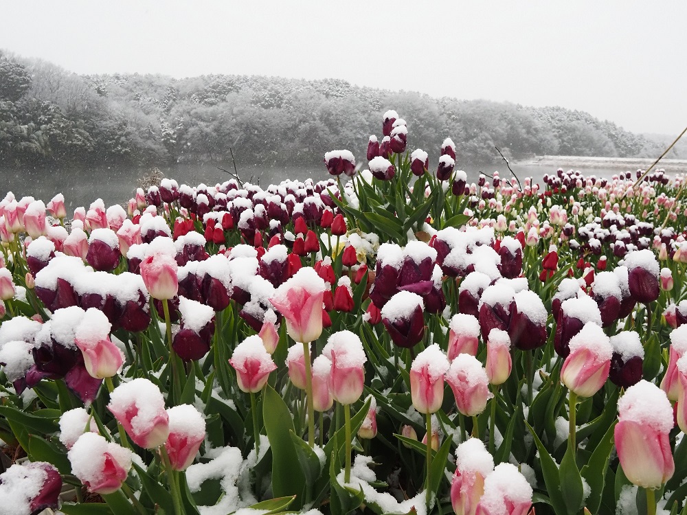 ホテルヘリテイジ賞