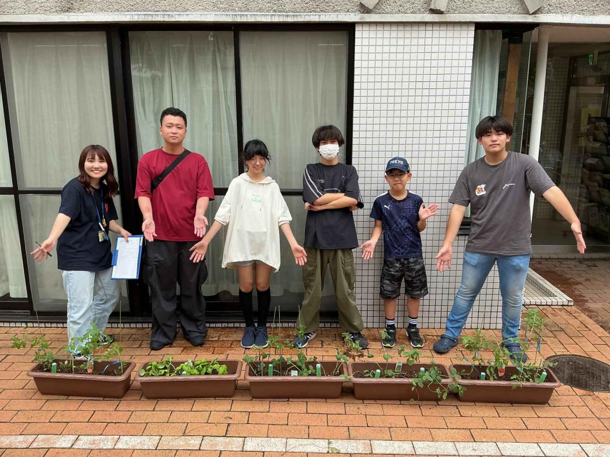 さいばい
