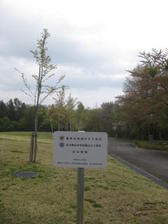 福島県猪苗代町
