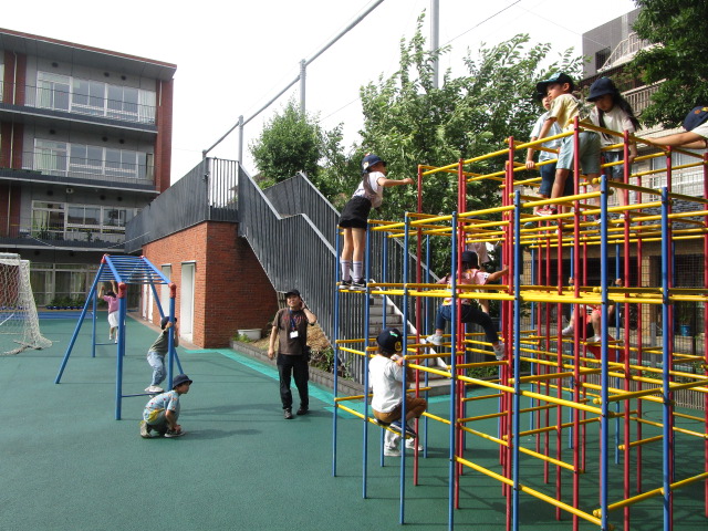 junglegym