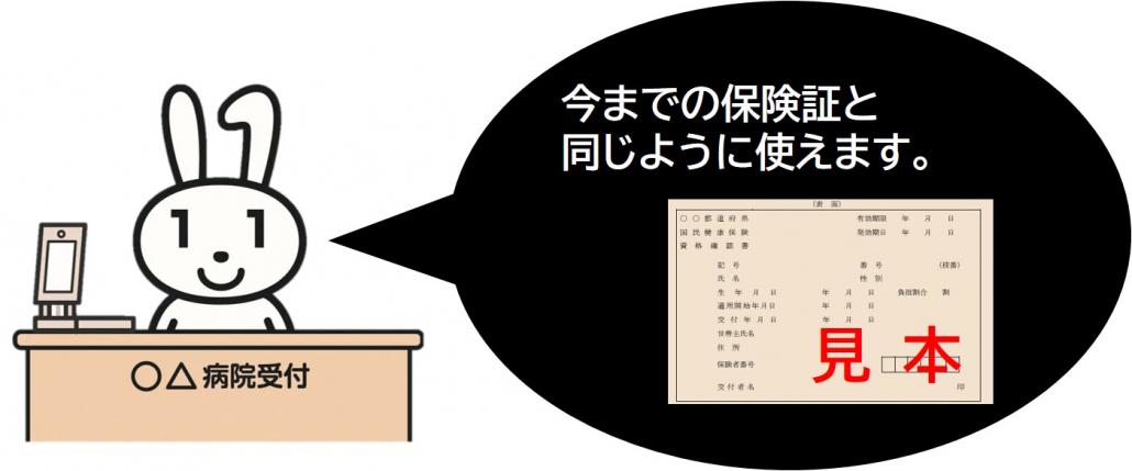 見本とマイナと資格確認書2