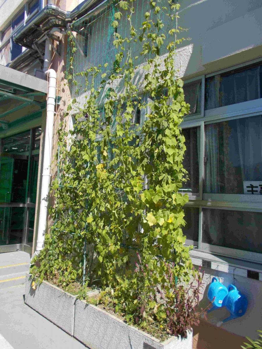 要小学校