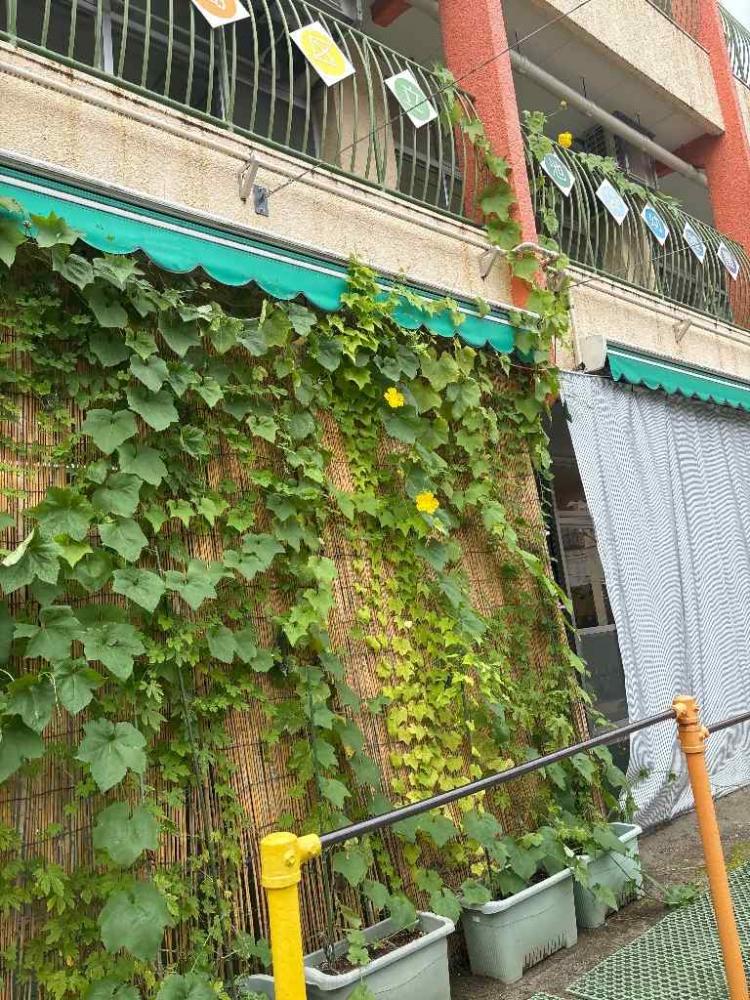 池袋幼稚園