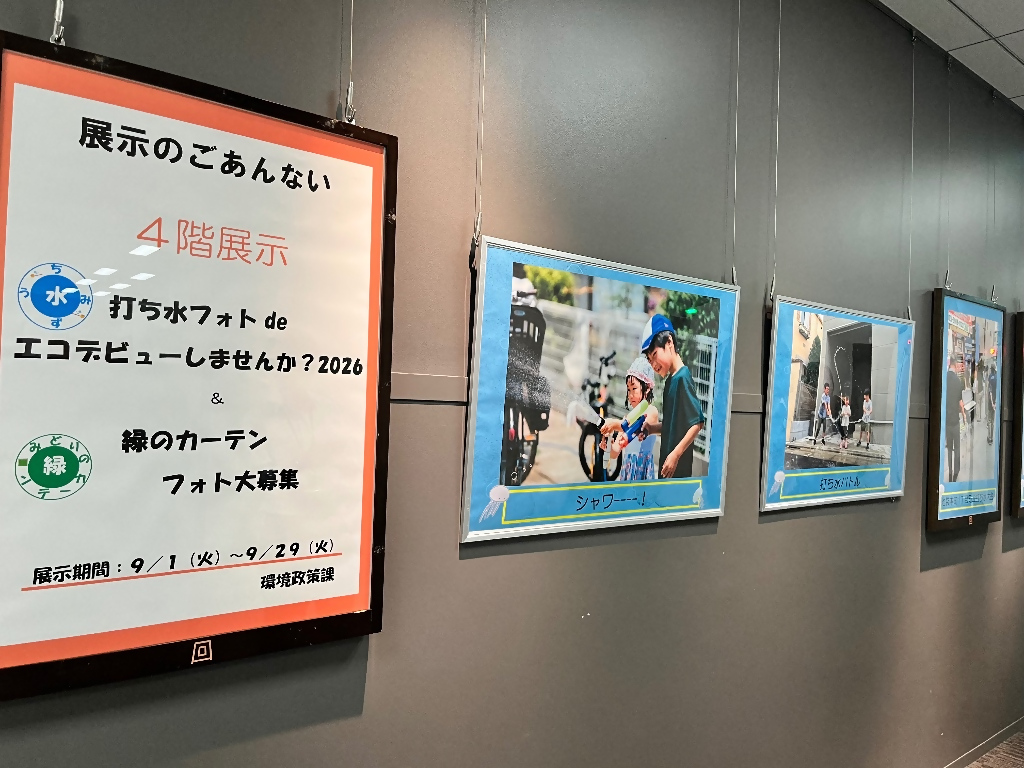 R8展示1