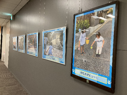 R6展示1