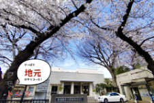 桜めぐり1