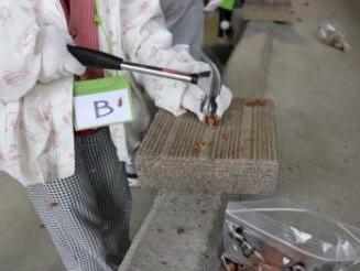 ツアーアーモンド