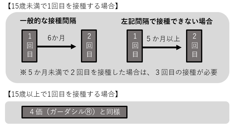 シルガード接種間隔