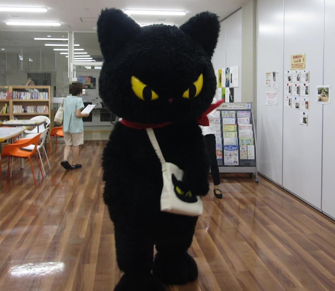 写真_クロッチ