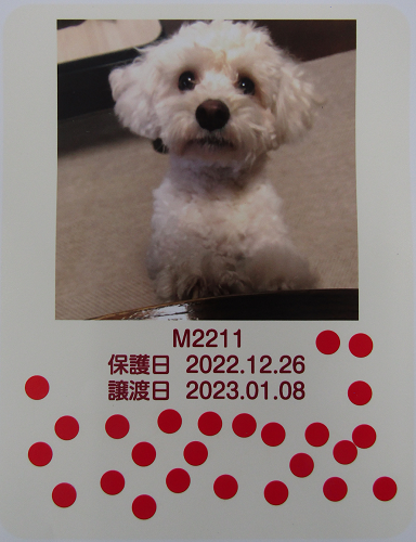/images/49086/img_0006.png