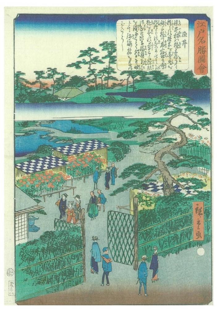 染井