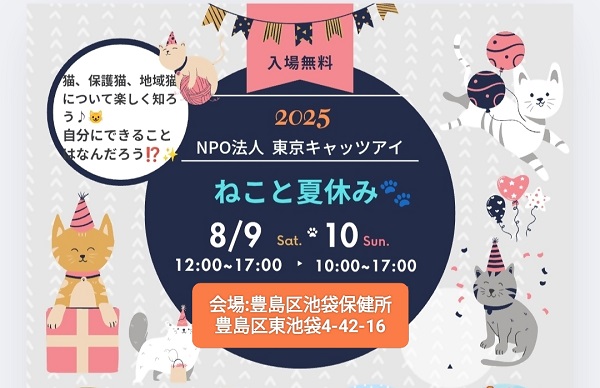 20250809_サムネイル画像_ねこと夏休みイベント