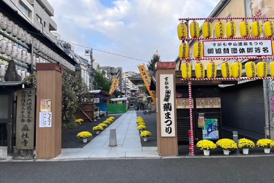 すがも中山道菊まつり