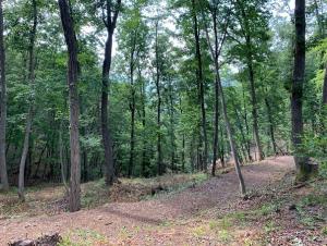 /images/48072/img_9070.jpg
